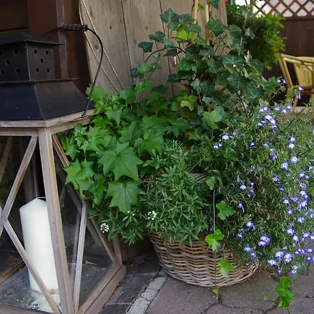 Guest house Zum Guten Tropfen Partenen