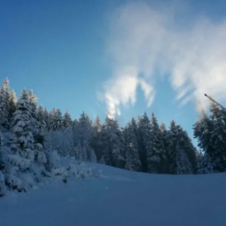 Guest house Zum Guten Tropfen